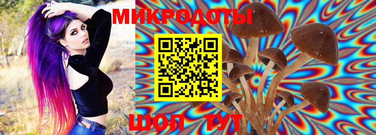 Псилоцибиновые грибы Cubensis Кизляр