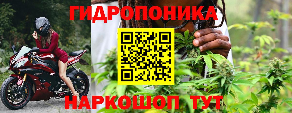 Канабис Ganja Кизляр